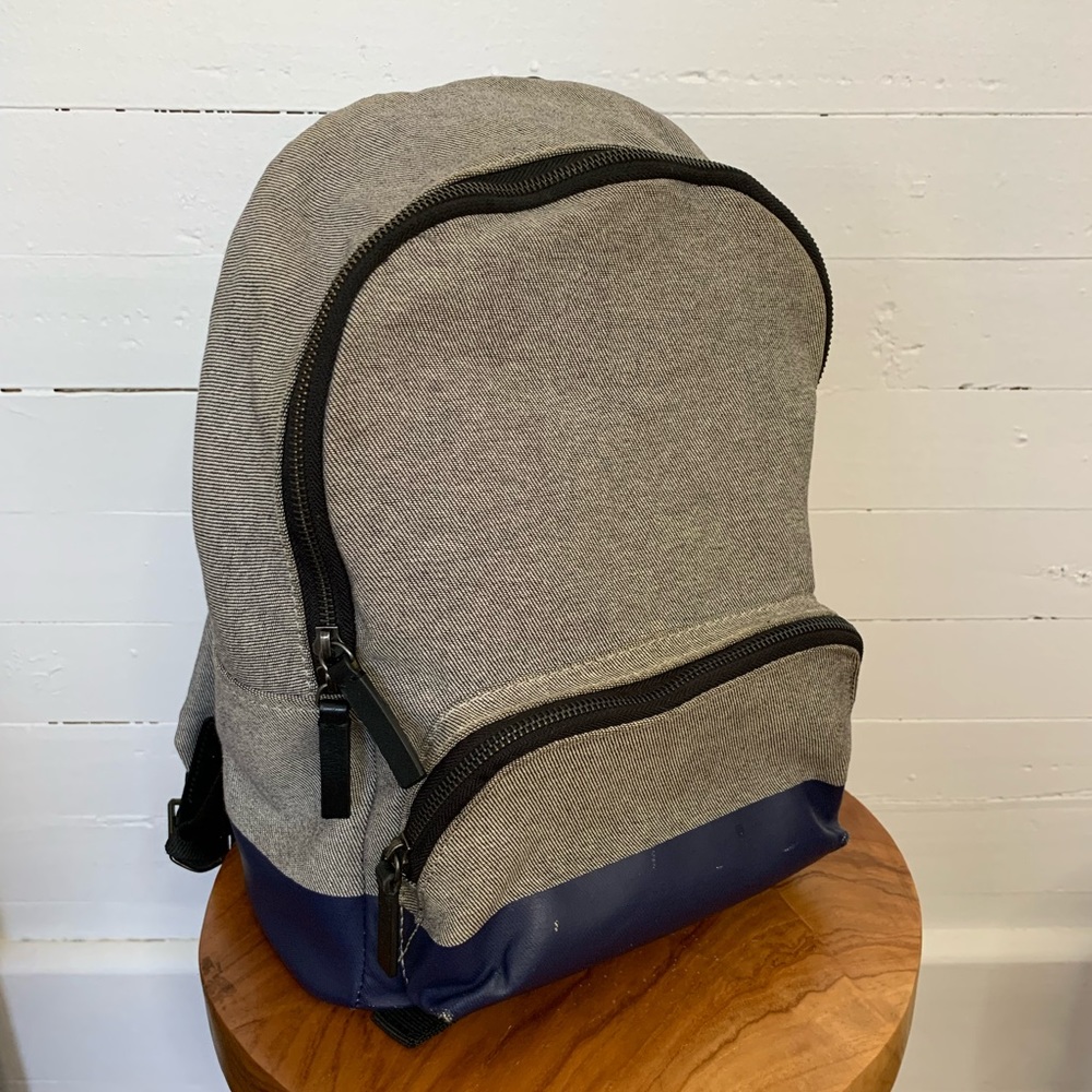 Everlane Small Backpack